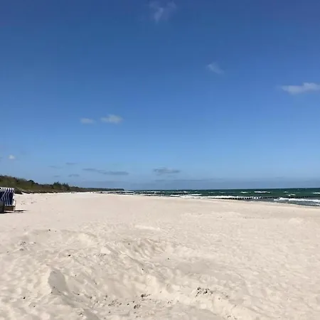 Windboee - Strandwiese