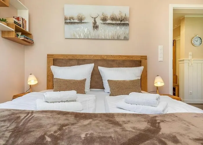 Windboee - Strandwiese * Zingst