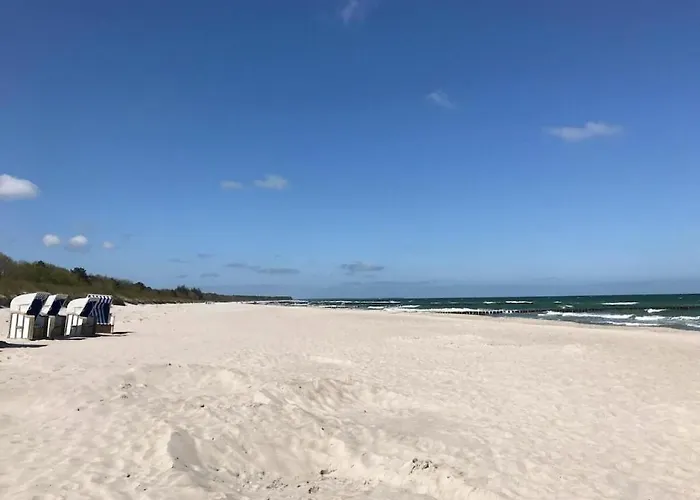 Windboee - Strandwiese